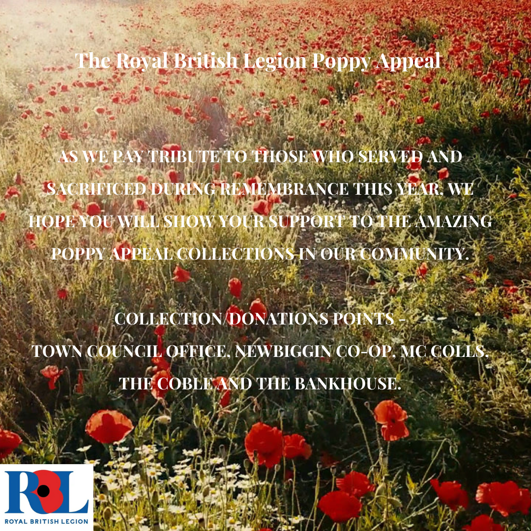 Poppy Appeal, Armed Forces Charity