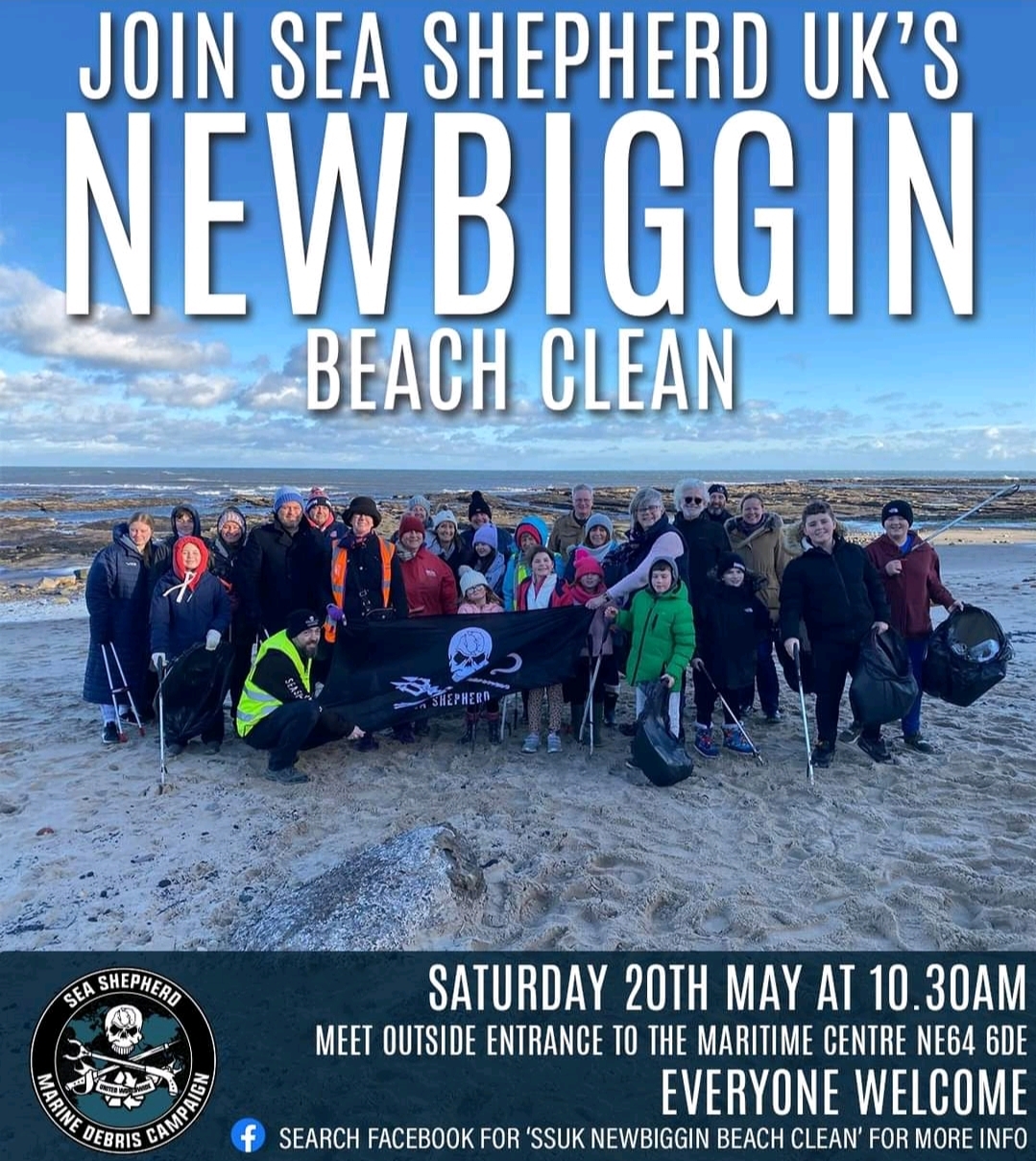 Newbiggin Beach Clean 20th May