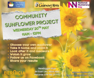 Community Sunflower Project - Wednesday 20th May