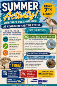 Summer Activity at Newbiggin Maritime Centre