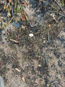 Nurdles on Beach
